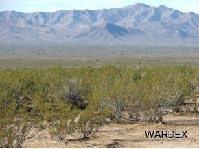 19933 South Lone Ranger Road Yucca, AZ 86438 - Photo 13 of 24 Additional Photo