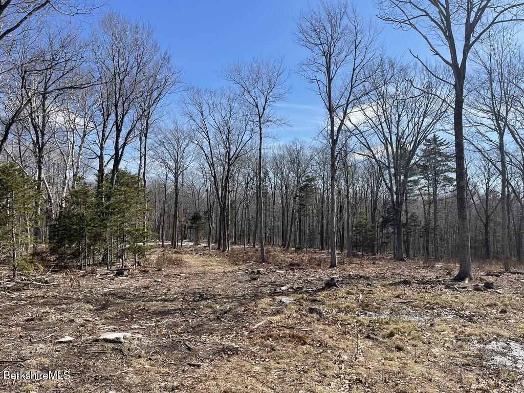 88 Church Road Florida, MA 01343 - Photo 8 of 10 a view of outdoor space with trees