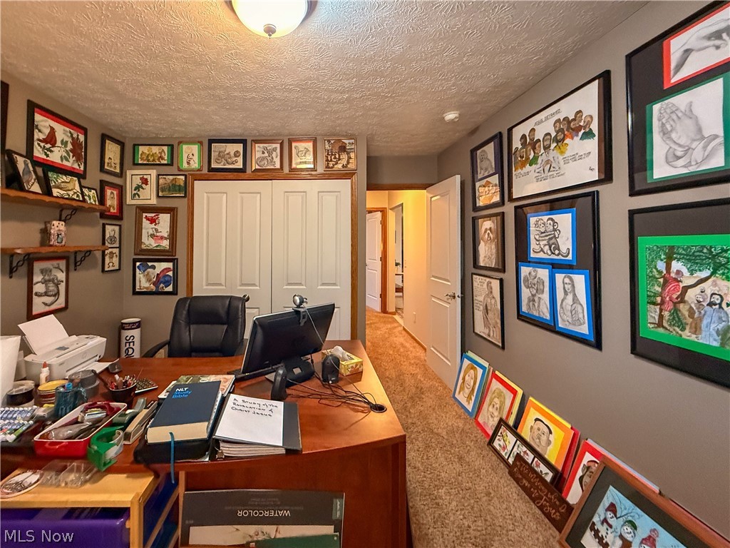 100 Pondview Circle Rittman, OH 44270 - Photo 19 of 26 Third bedroom used as office
