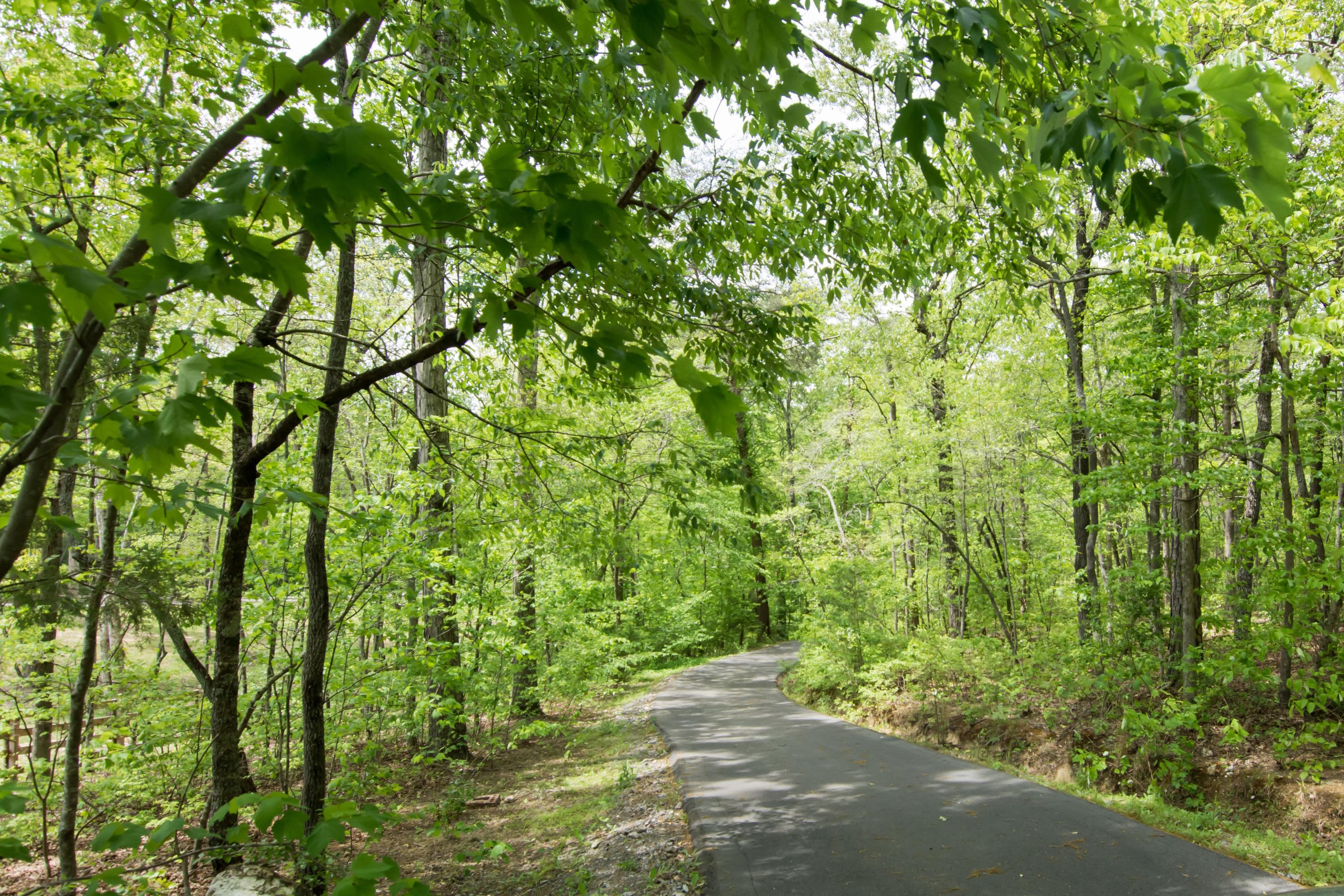 2468 Hudlow Loop Road Dunlap, TN 37327 - Photo 33 of 33 Driveway