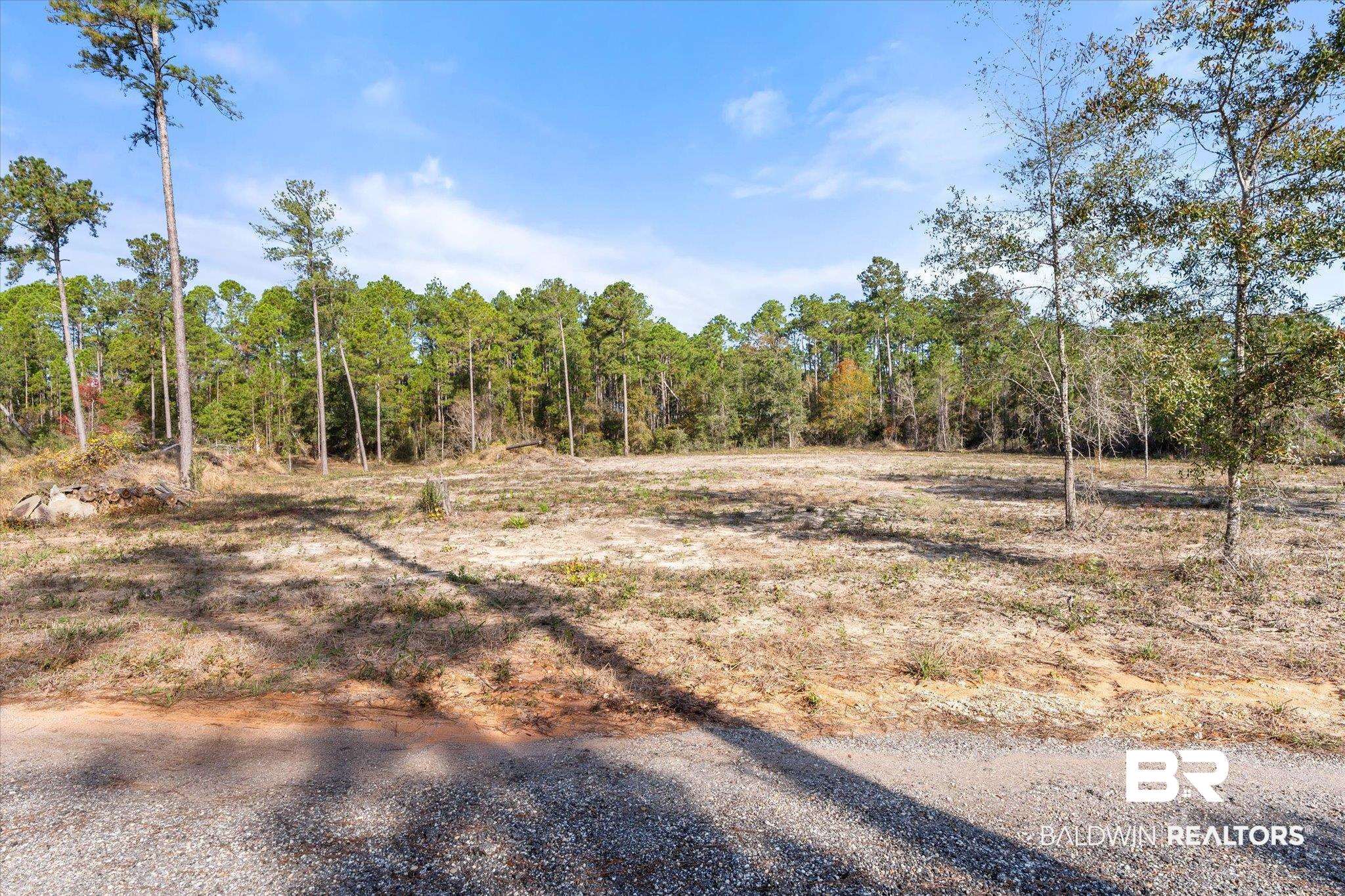 29883 Kingdom Lane Elberta, AL 36530 - Photo 2 of 17 View of landscape