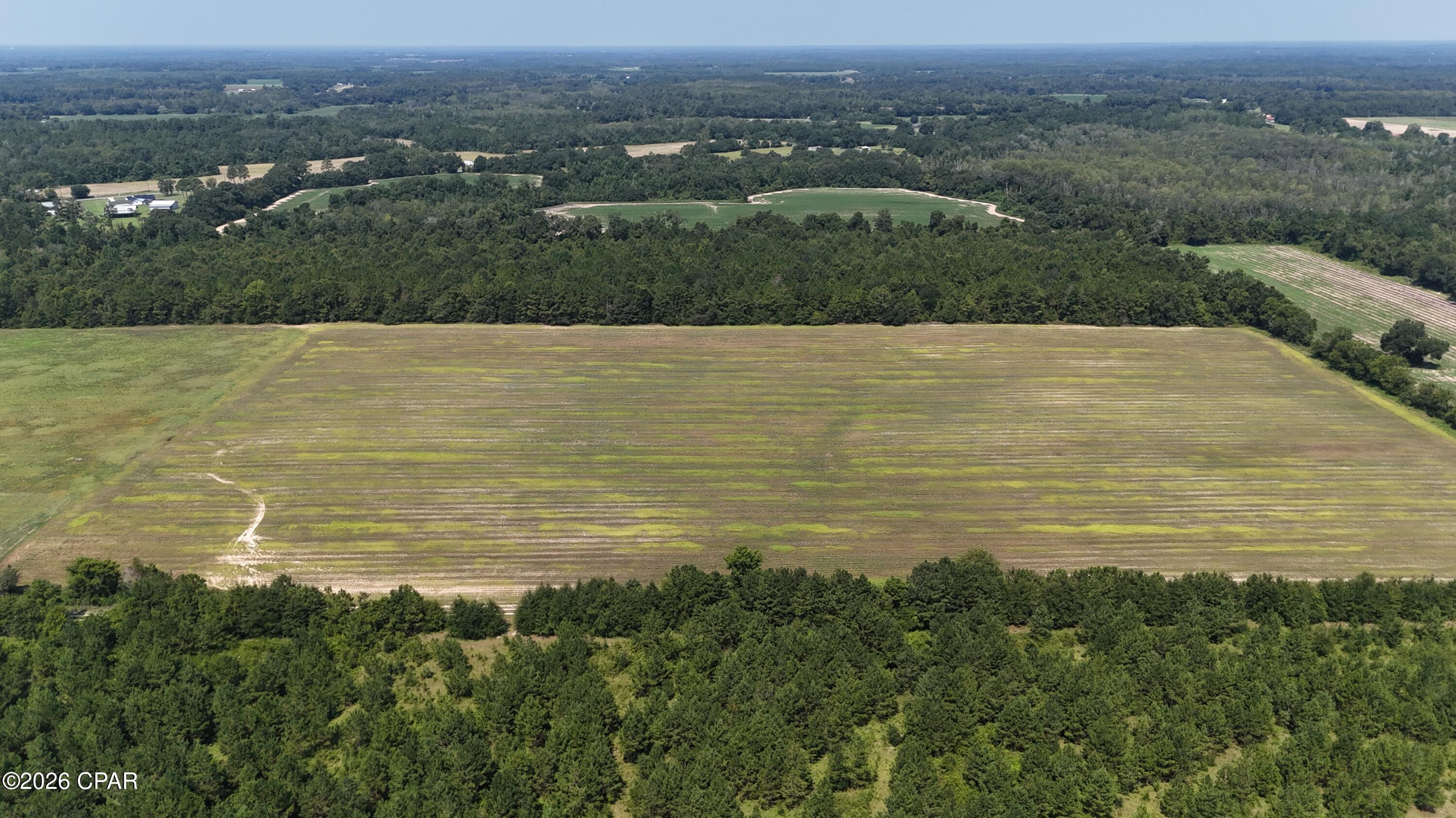 0 Peanut Road Cottondale, FL 32431 - Photo 3 of 9 Gallery Image 3