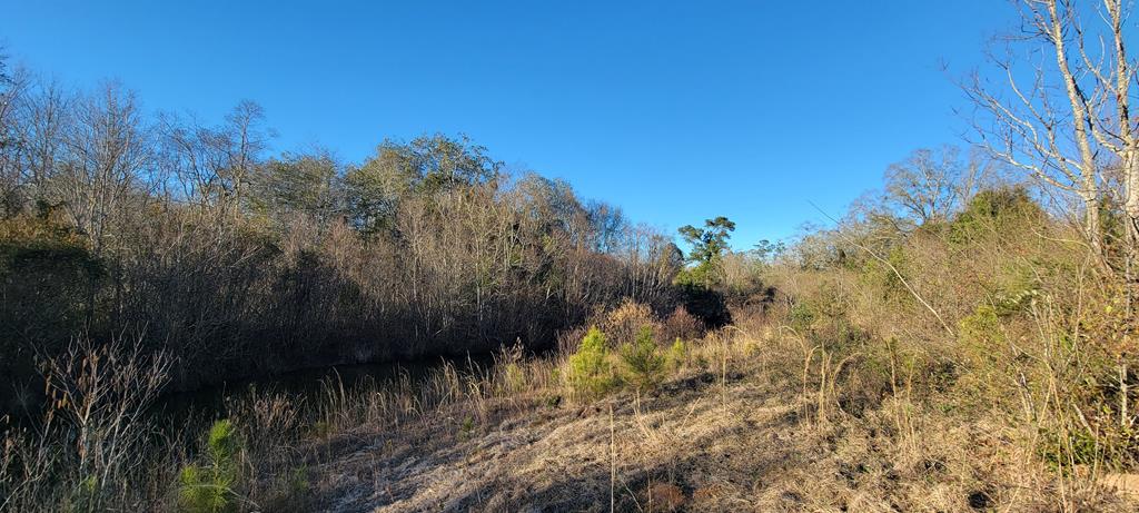 50.45-acres Trawick Road Dothan, AL 36301 - Photo 29 of 62