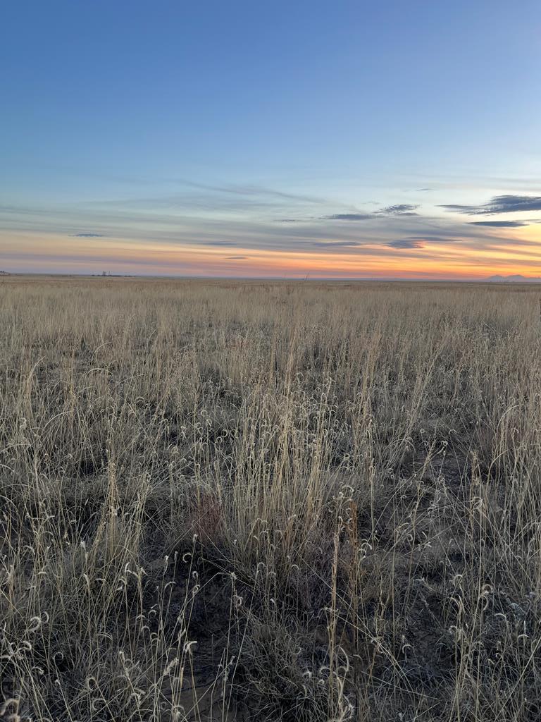 3473 Pr Hls Road Boone, CO 81025 - Photo 14 of 20