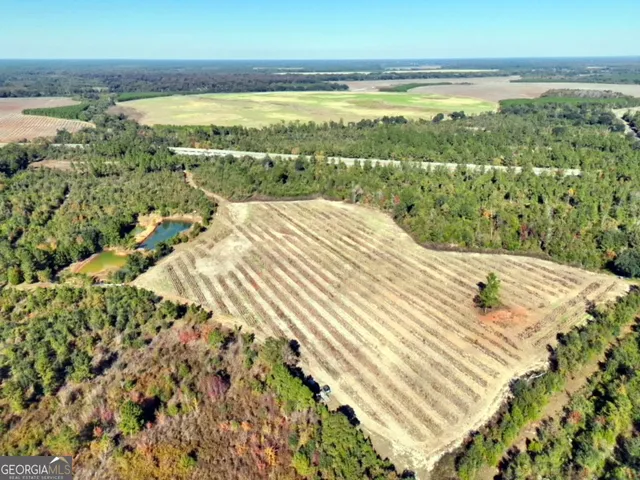 $382,734 | 3625 Sylvester Highway, Albany, GA 31705