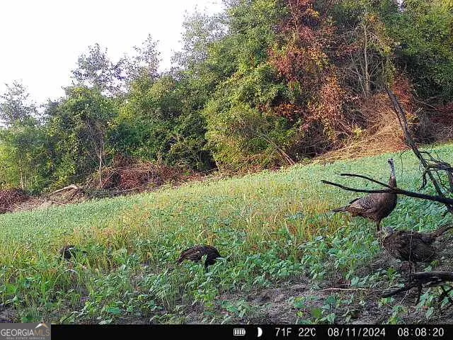 $382,734 | 3625 Sylvester Highway, Albany, GA 31705