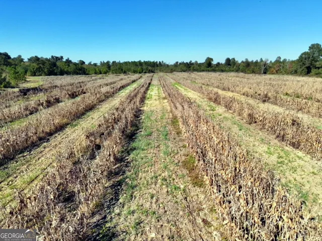 $382,734 | 3625 Sylvester Highway, Albany, GA 31705