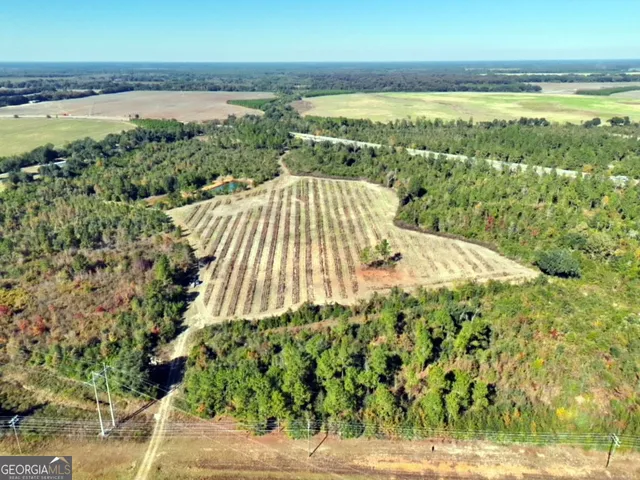 $382,734 | 3625 Sylvester Highway, Albany, GA 31705