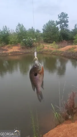 $382,734 | 3625 Sylvester Highway, Albany, GA 31705