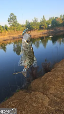 $382,734 | 3625 Sylvester Highway, Albany, GA 31705