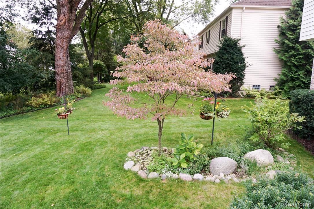 966 Hemlock Drive Rochester, MI 48307 - Photo 13 of 23 DSC01787-2.jpg