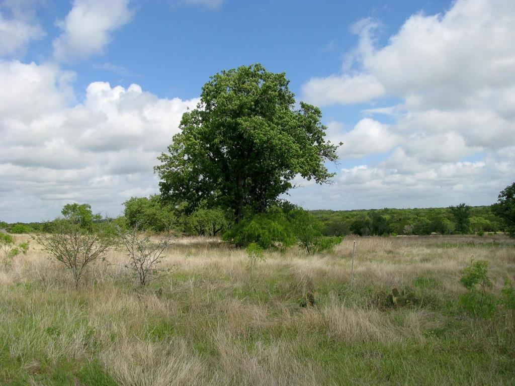 Lot 73-74 Lot Evant, TX 76525 - Photo 23 of 31 a view of a lake and mountain in the back