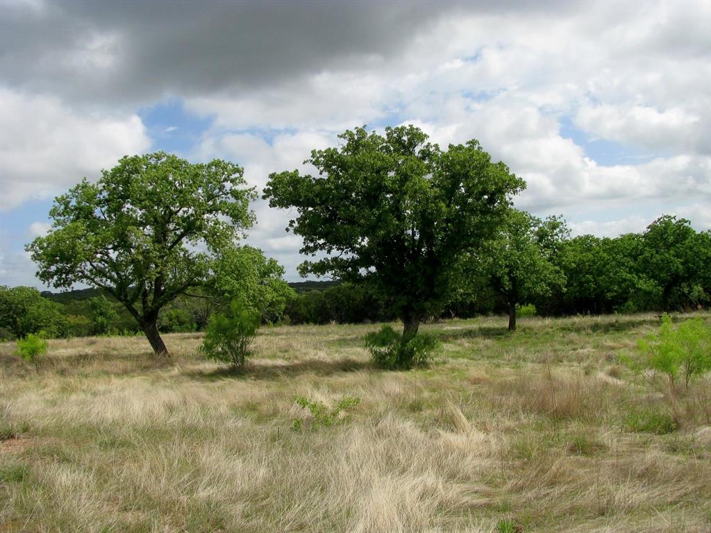 Lot 73-74 Lot Evant, TX 76525 - Photo 24 of 31 a view of outdoor space with trees all around