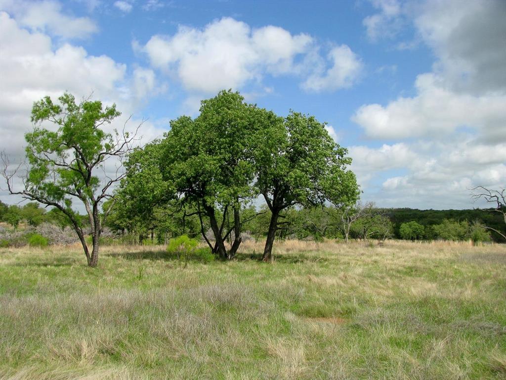 Lot 73-74 Lot Evant, TX 76525 - Photo 25 of 31 a view of backyard with green space
