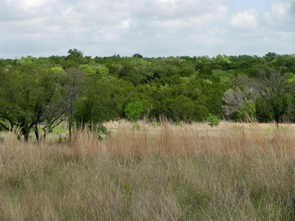 Lot 73-74 Lot Evant, TX 76525 - Photo 26 of 31 a view of a lake in middle of forest
