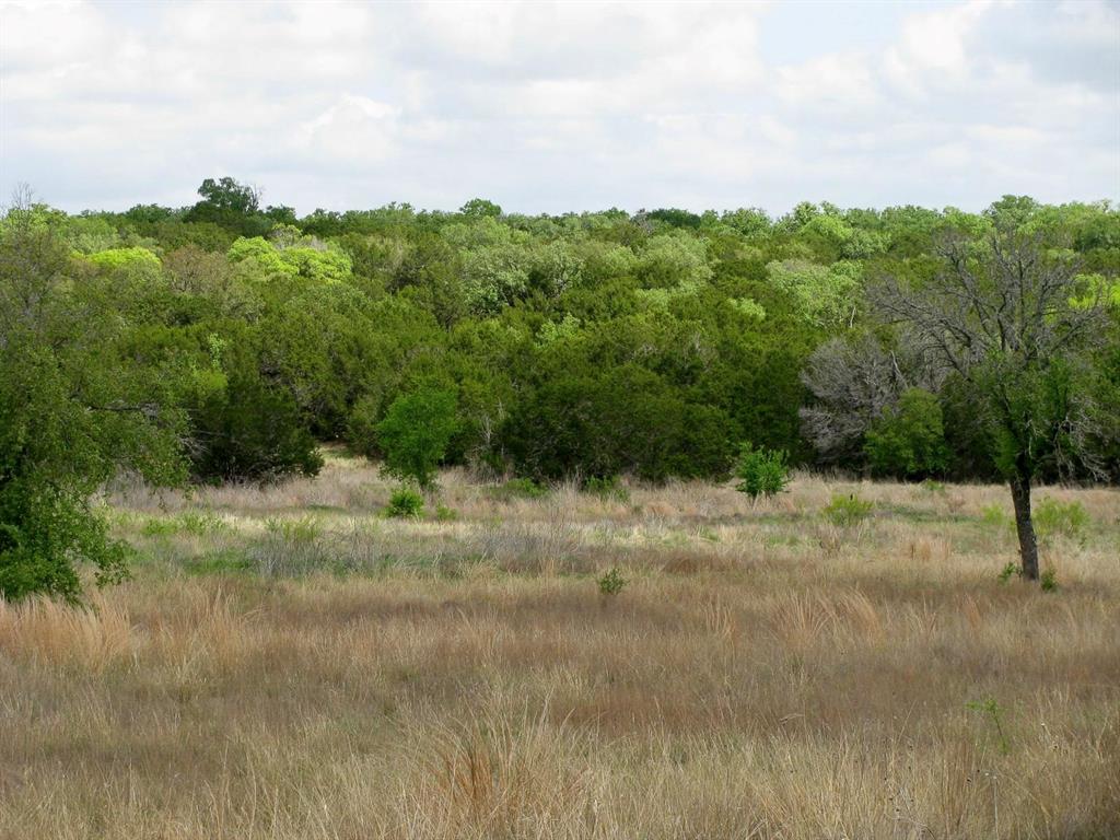 Lot 73-74 Lot Evant, TX 76525 - Photo 27 of 31 a view of a yard with a tree