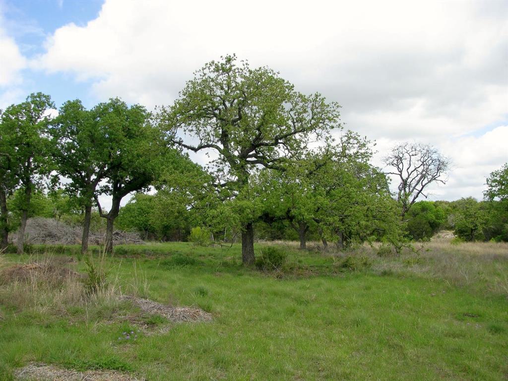 Lot 73-74 Lot Evant, TX 76525 - Photo 28 of 31 a view of a garden with a tree