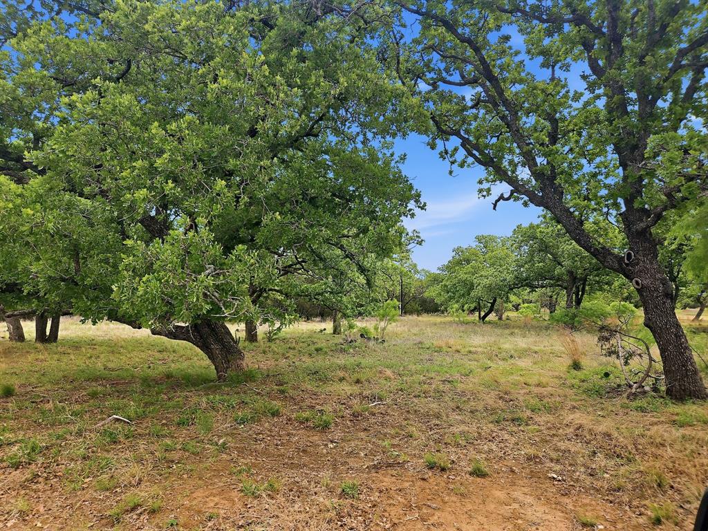 Lot 73-74 Lot Evant, TX 76525 - Photo 5 of 31 a view of outdoor space with trees