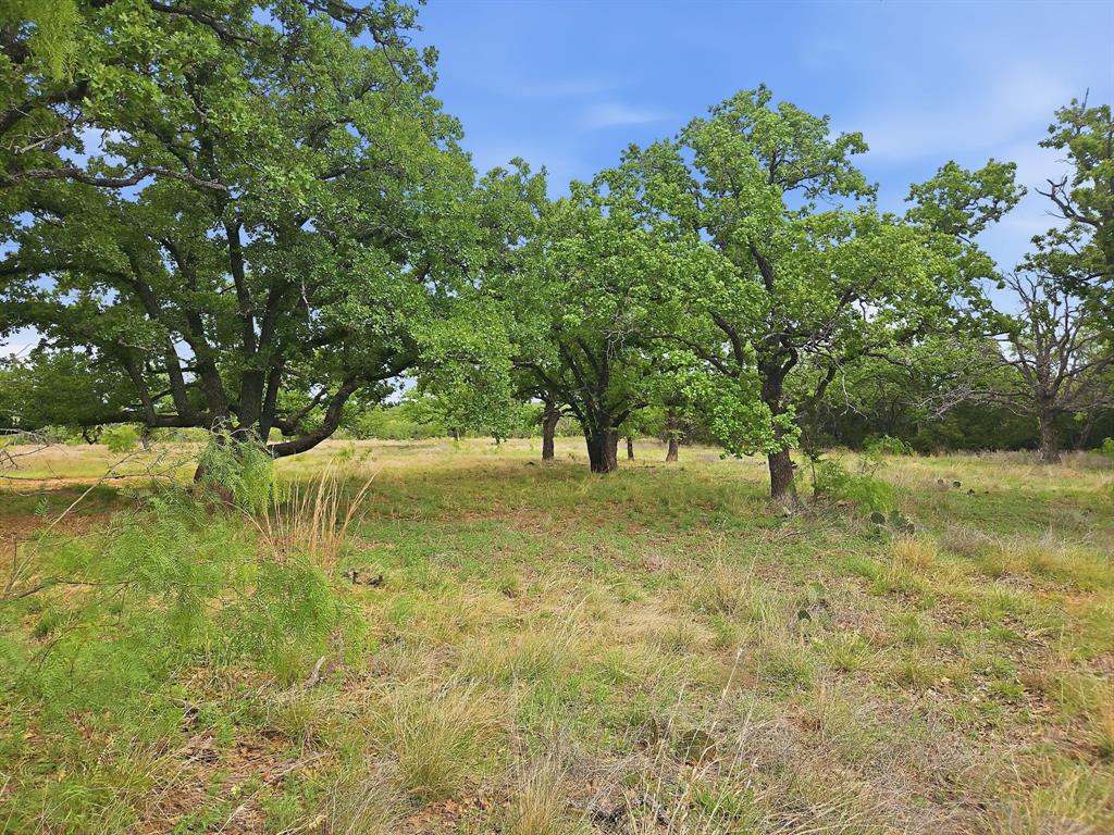 Lot 73-74 Lot Evant, TX 76525 - Photo 6 of 31 a view of yard