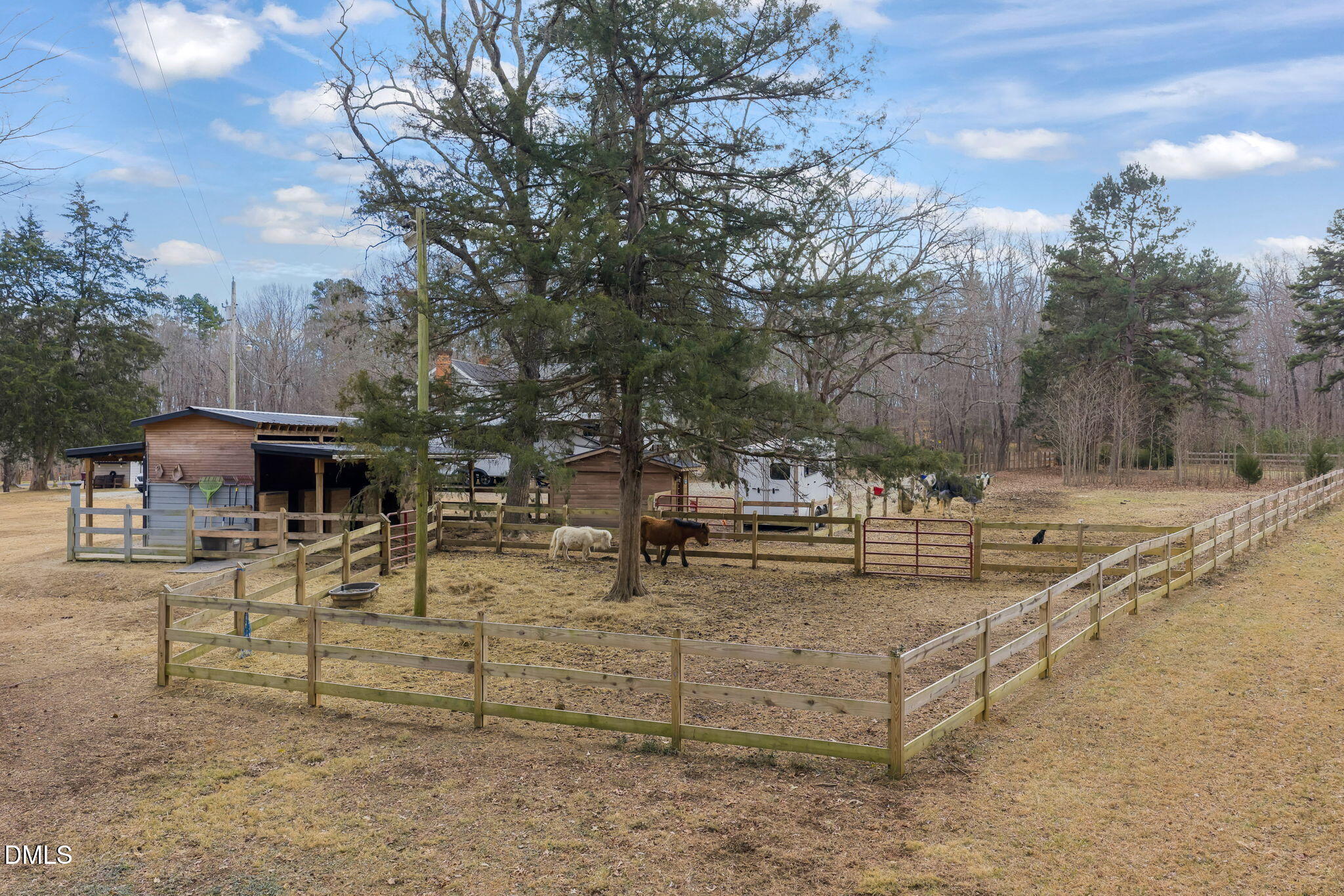 2822 Little River Church Road Hurdle Mills, NC 27541 - Photo 24 of 61 Pastures