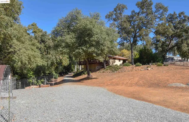 a street view along with trees