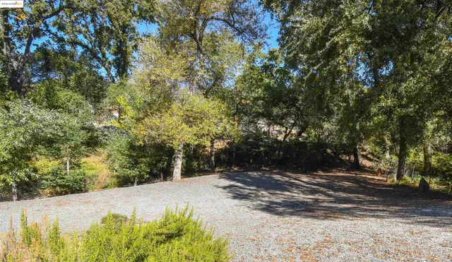a view of a yard with large trees