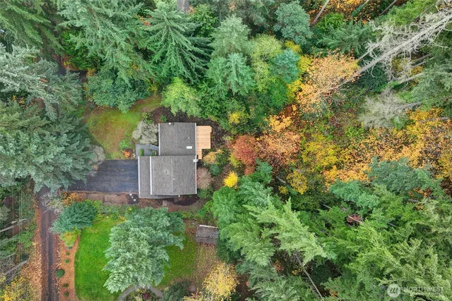 an aerial view of a house with a yard and a large tree