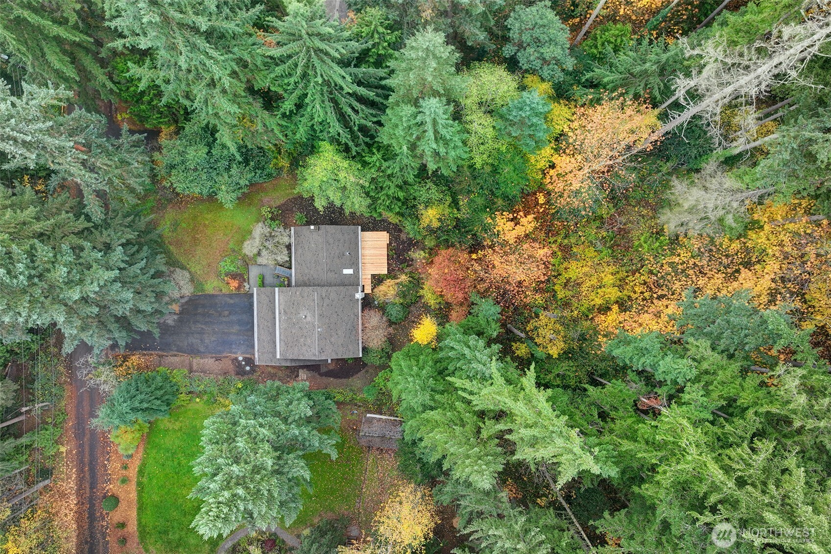 22710 2nd Avenue Southeast Bothell, WA 98021 - Photo 32 of 34 an aerial view of a house with a yard and a large tree