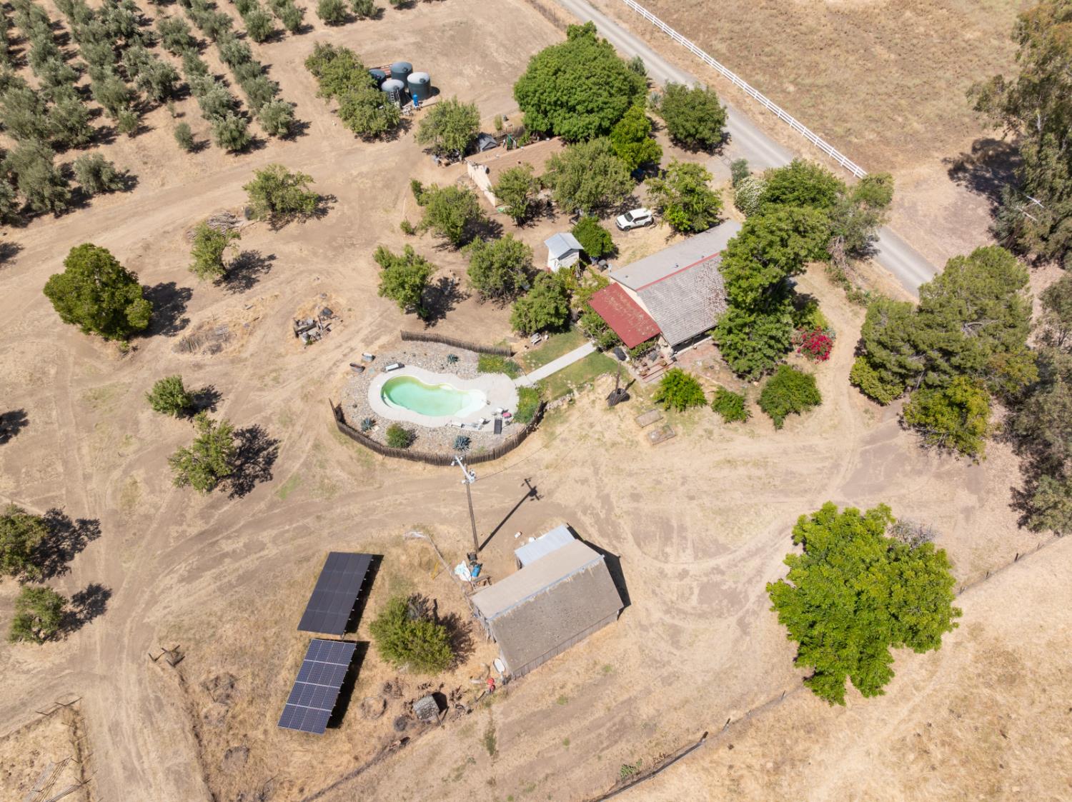 20115 County Road 79A Capay, CA 95607 - Photo 6 of 44 Homestead with a pool
