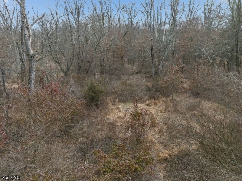 221 Old Croton Road Flemington, NJ 08822 - Photo 6 of 10