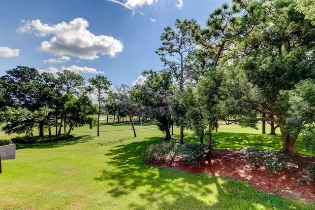 a view of an outdoor space