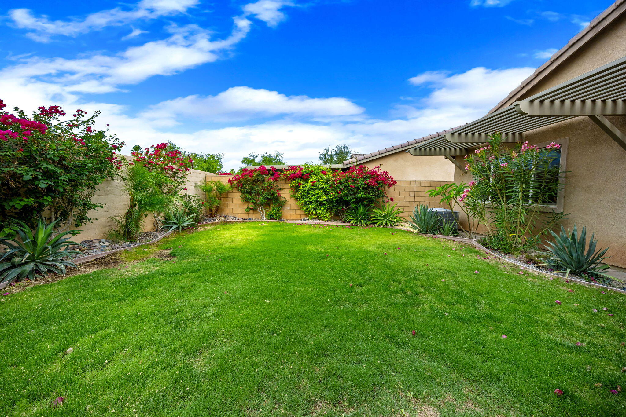 84131 Azzura Way Indio, CA 92203 - Photo 28 of 38 a view of a garden