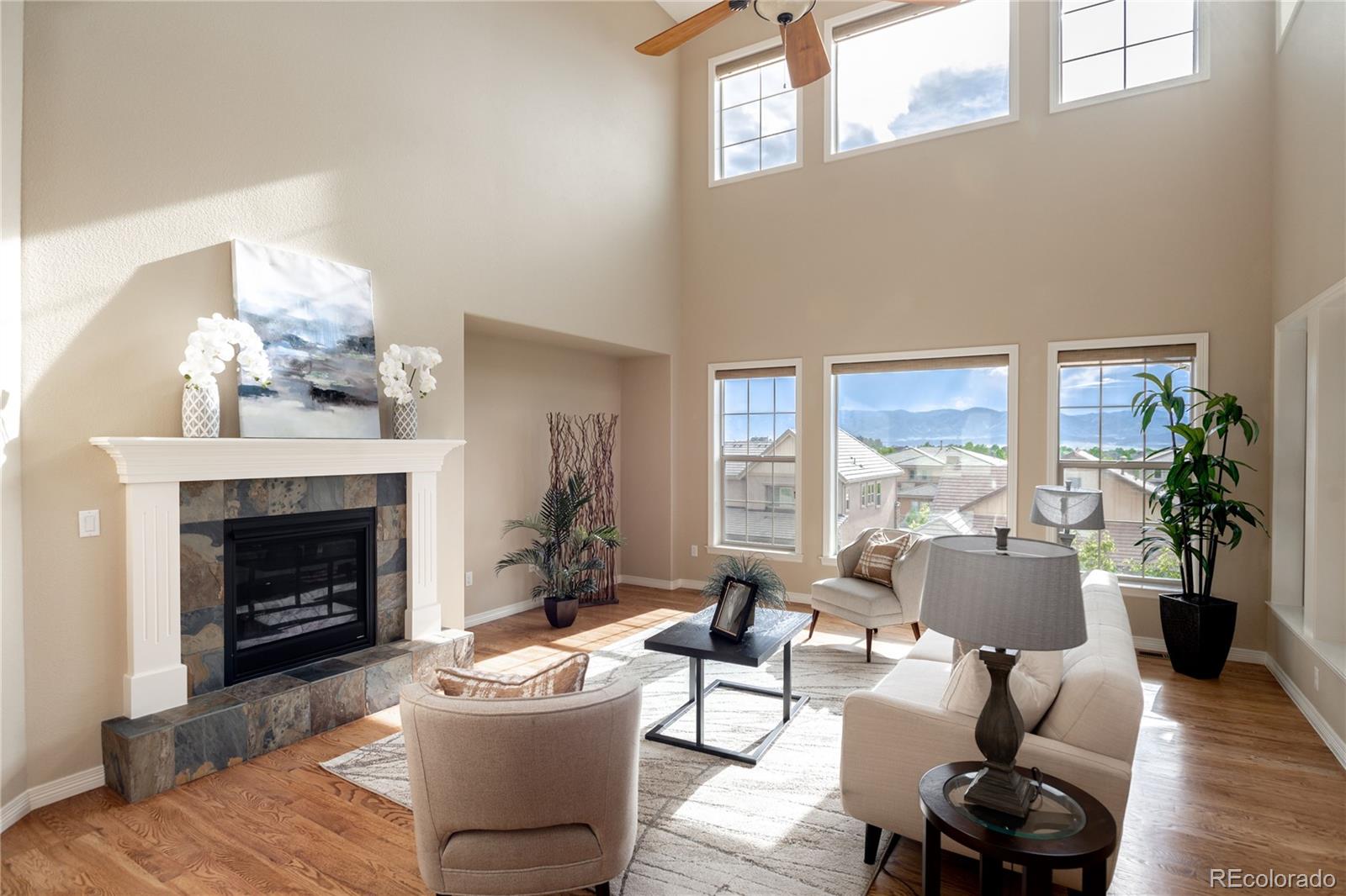 10599 Sundial Rim Road Highlands Ranch, CO 80126 - Photo 4 of 40 a living room with furniture and a fireplace