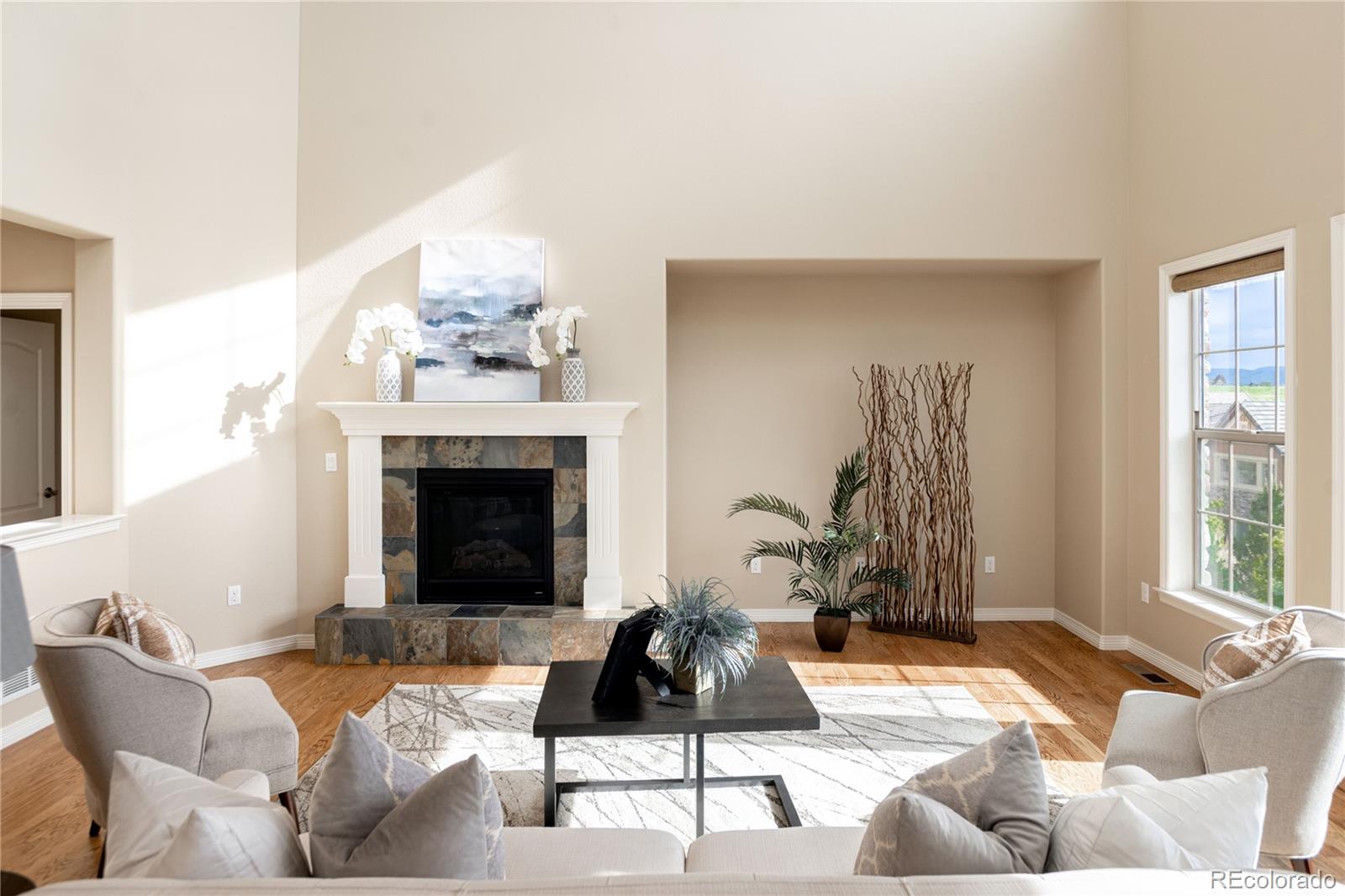 10599 Sundial Rim Road Highlands Ranch, CO 80126 - Photo 5 of 40 a living room with furniture and a fireplace