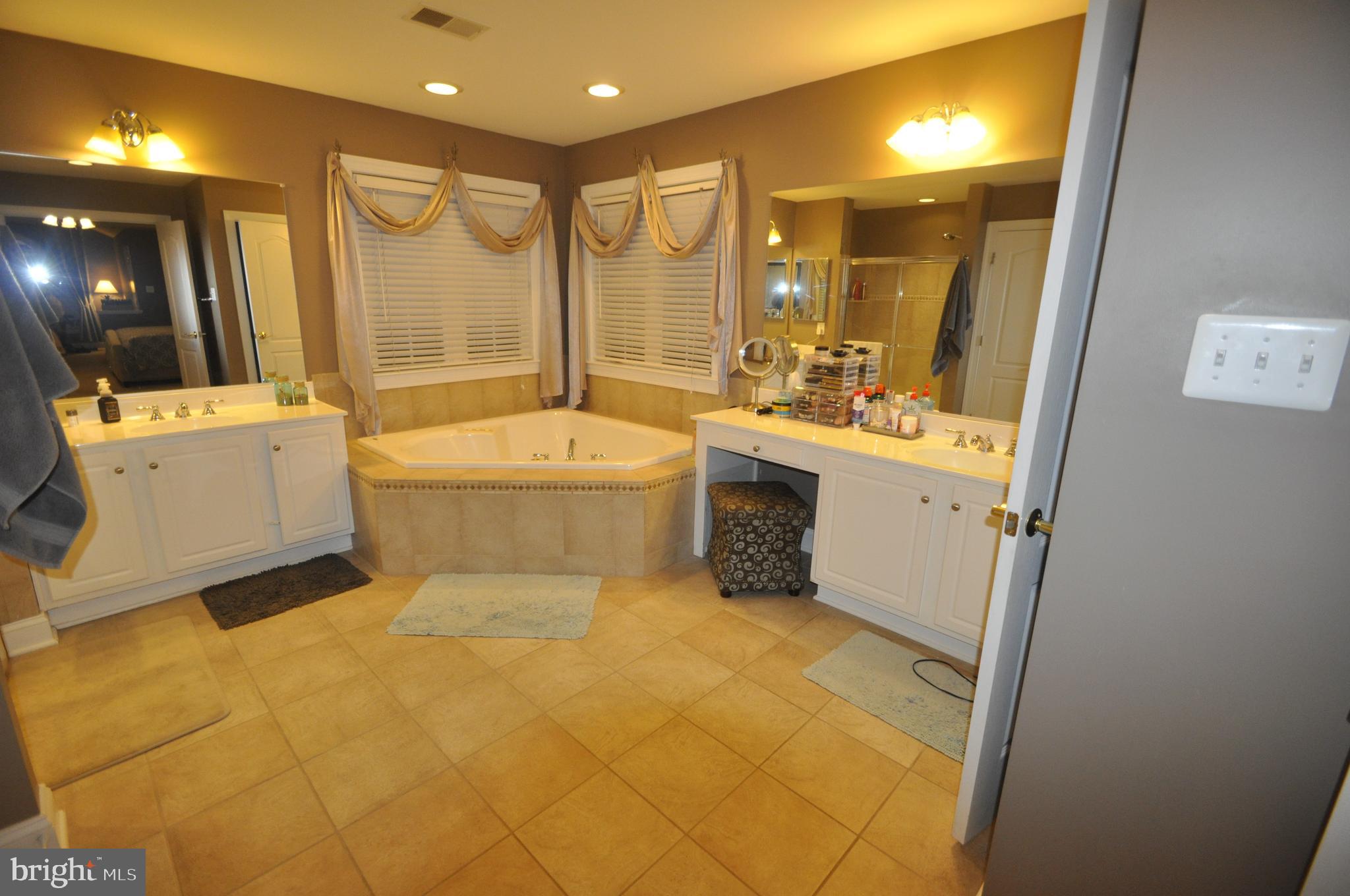 304 Saddleback Trail Mount Airy, MD 21771 - Photo 13 of 29 Master Bathroom