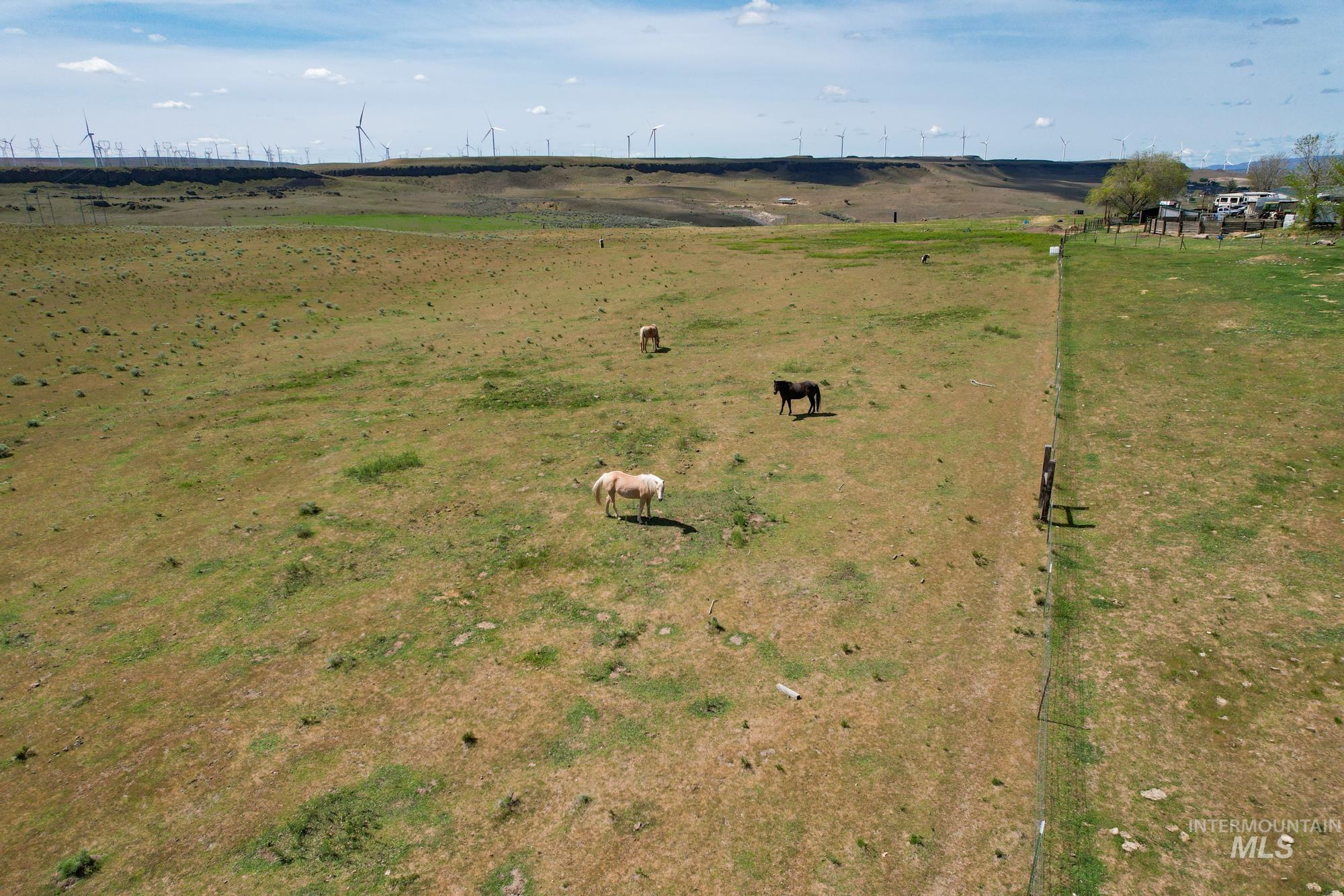 74207 Rhea Road Arlington, OR 97812 - Photo 9 of 9 Gallery Image 9