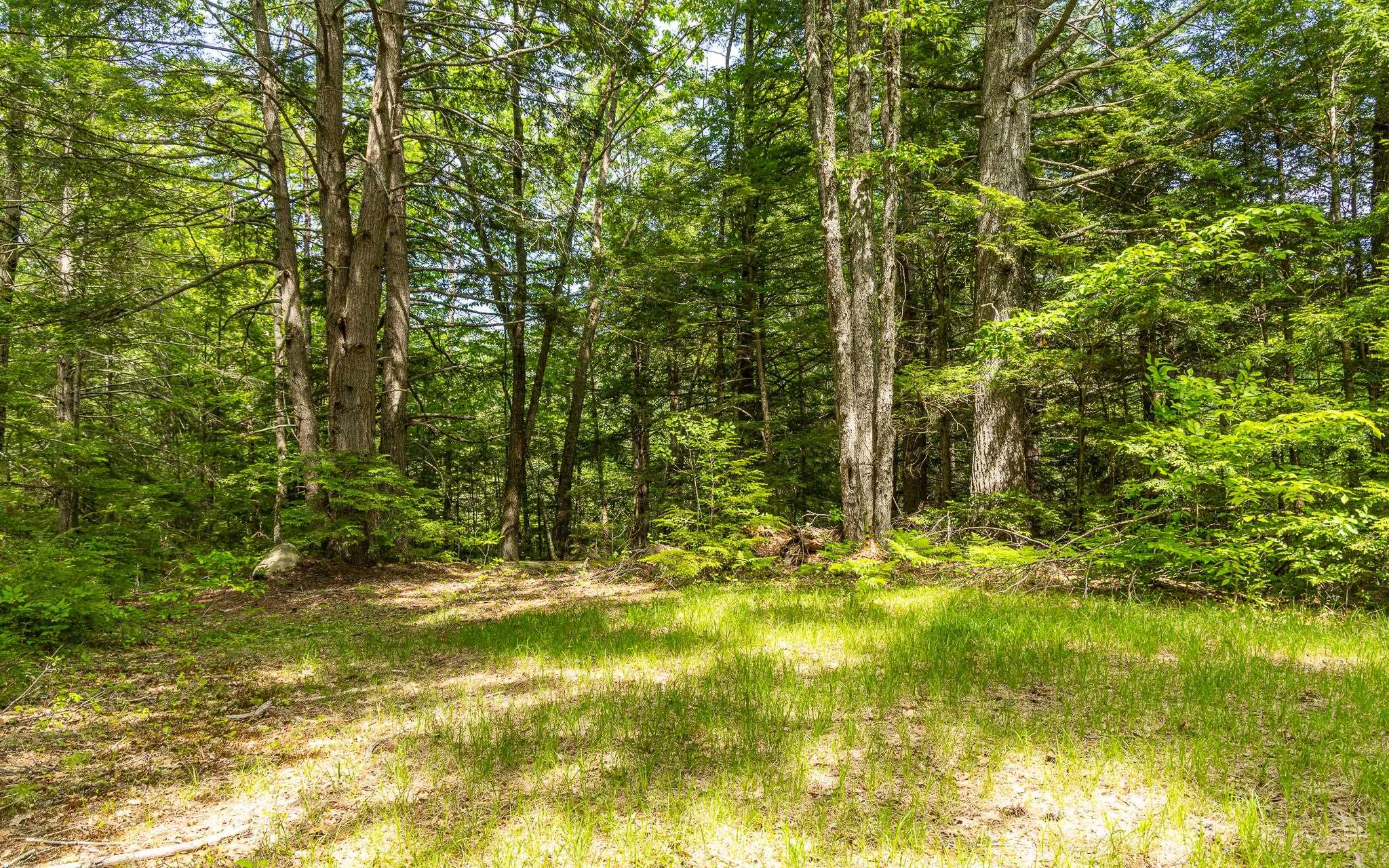 540 Fitzwilliam Road Richmond, NH 03470 - Photo 35 of 35