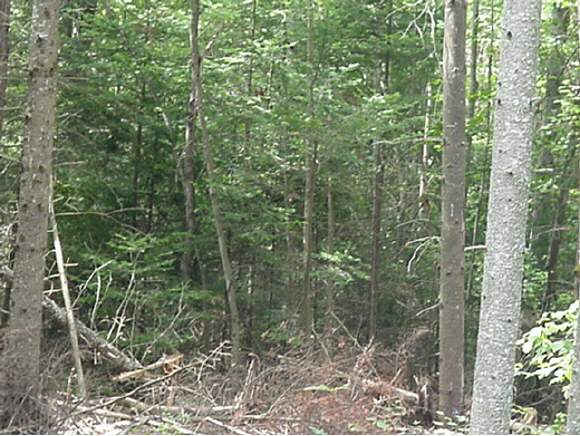 42-2 S Road Canaan, NH 03741 - Photo 1 of 1