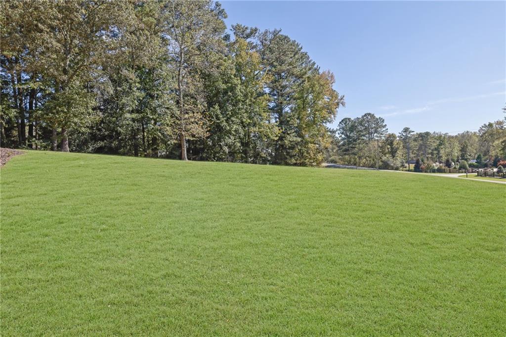 2325 Mountain Road Alpharetta, GA 30004 - Photo 67 of 70