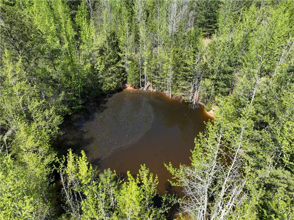 1 Potato House Road Gray Court, SC 29645 - Photo 3 of 10