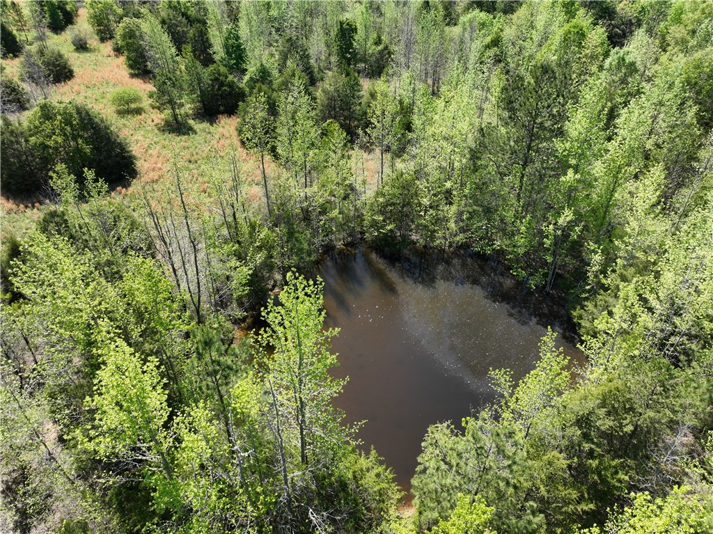 1 Potato House Road Gray Court, SC 29645 - Photo 4 of 10