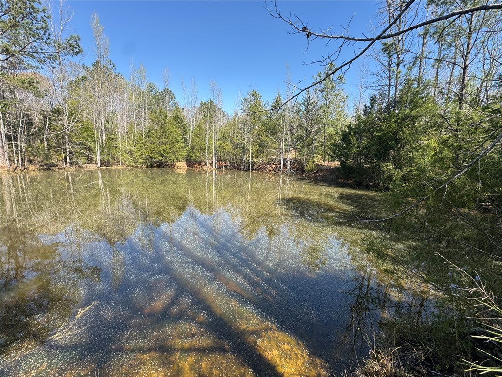 1 Potato House Road Gray Court, SC 29645 - Photo 10 of 10