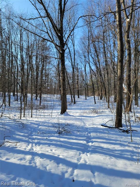 1 Miller Road Attica, MI 48412 - Photo 2 of 14