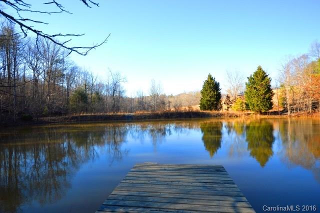 969 Hunting Country Road Tryon, NC 28782 - Photo 4 of 23 a view of lake