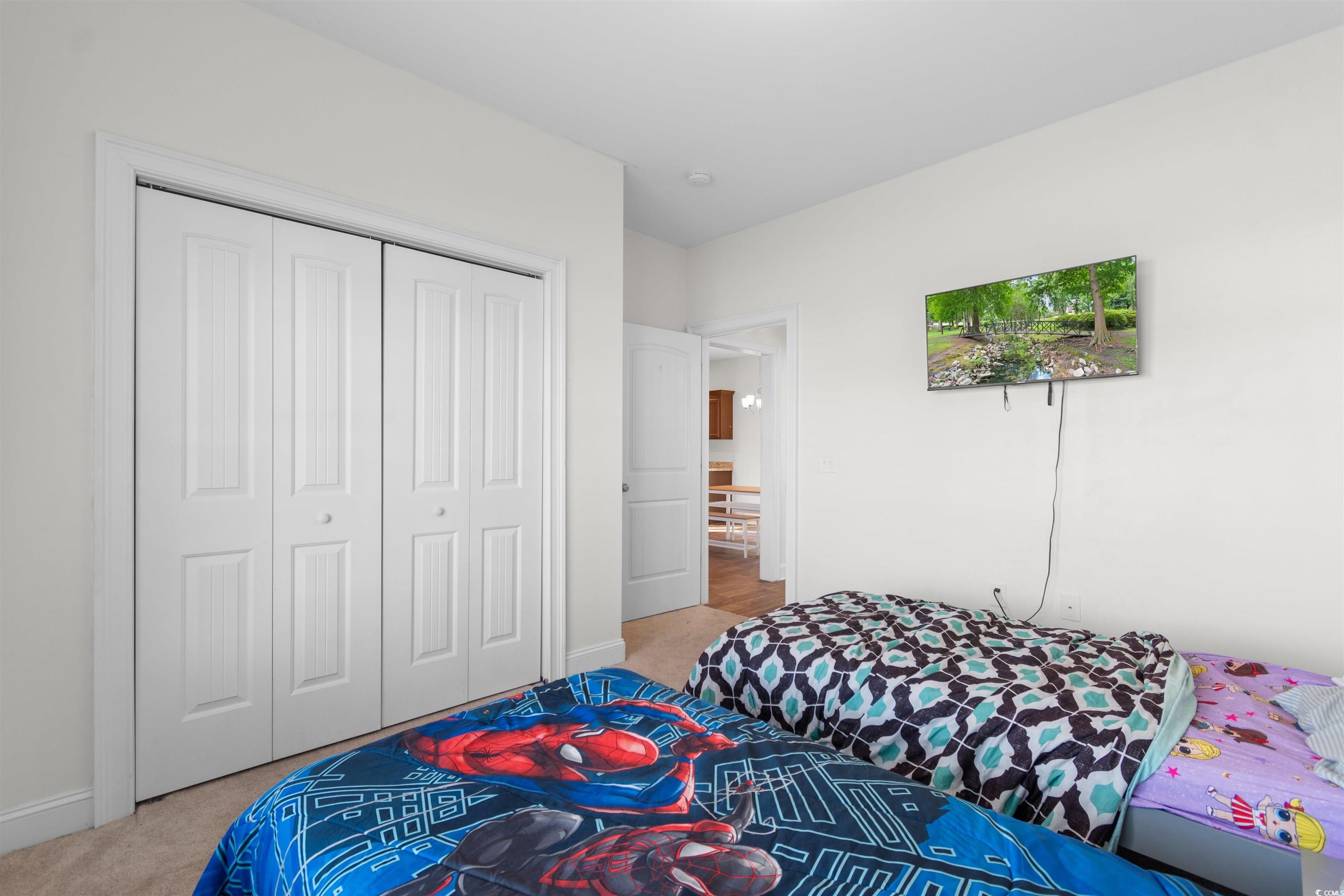 253 Maple Oak Drive Conway, SC 29526 - Photo 19 of 33 Bedroom featuring light colored carpet and a closet