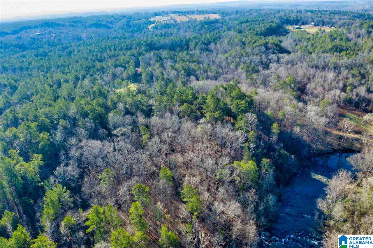 0 County Road 8, Unit 1 Clanton, AL 35045 - Photo 21 of 30