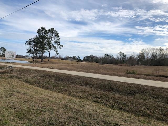 0 Miflin Road Foley, AL 36535 - Photo 4 of 7