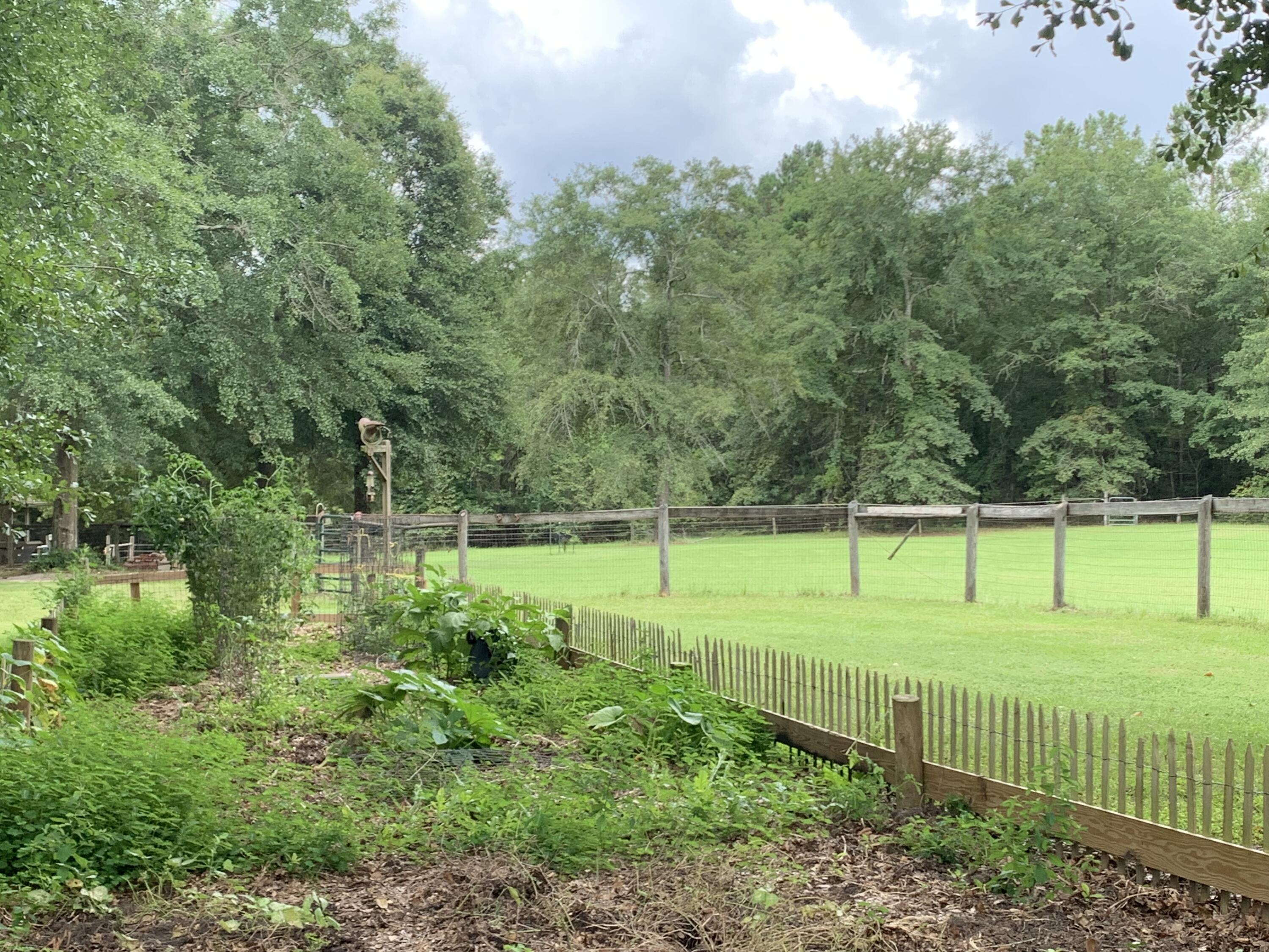 254 Our Road Salley, SC 29137 - Photo 25 of 51