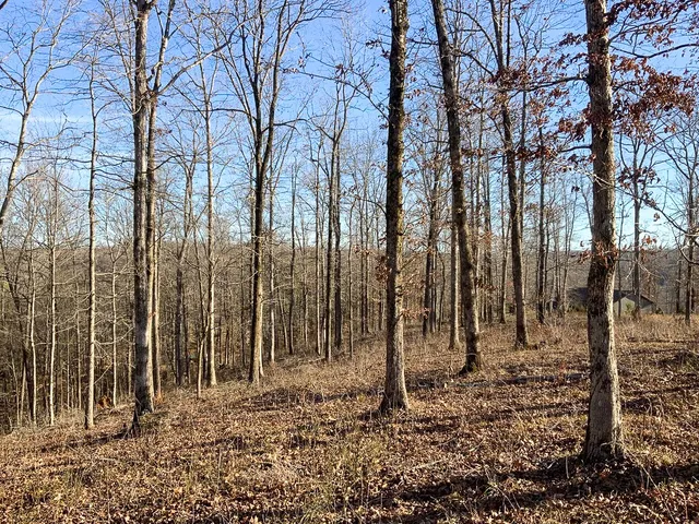 $40,000 | 0 Havenwood Road, McEwen, TN 37101