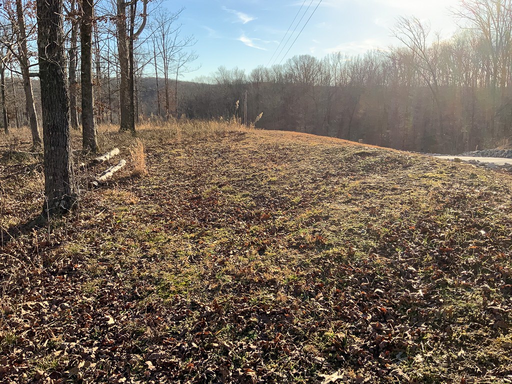 0 Havenwood Road McEwen, TN 37101 - Photo 3 of 9